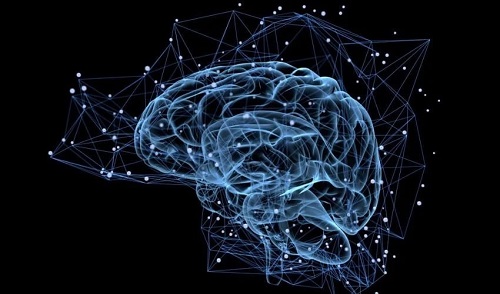 世界上第一个高分辨率 3D 打印大脑仿真模型